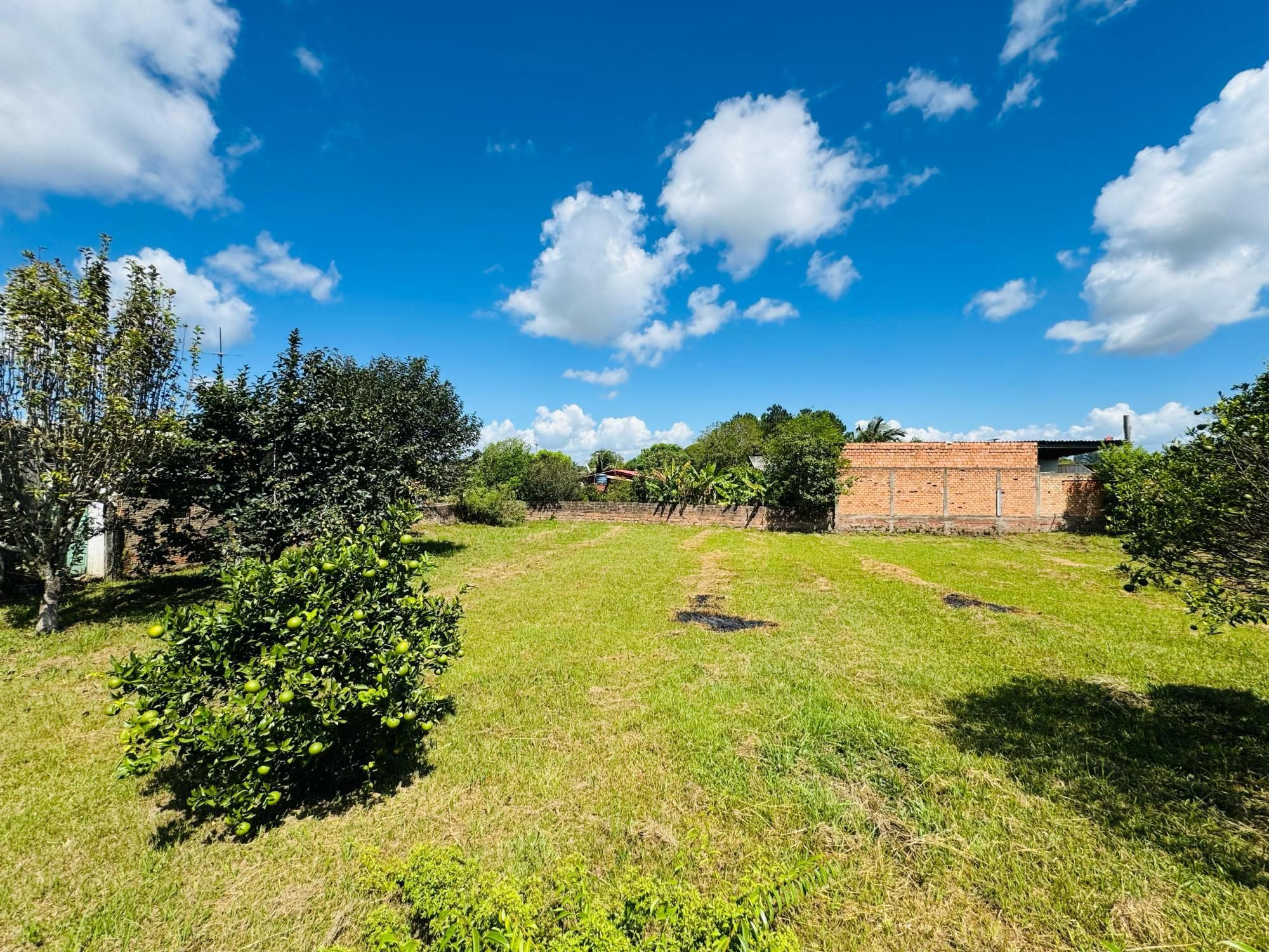 Sítio à venda com 3 quartos, 1000m² - Foto 3