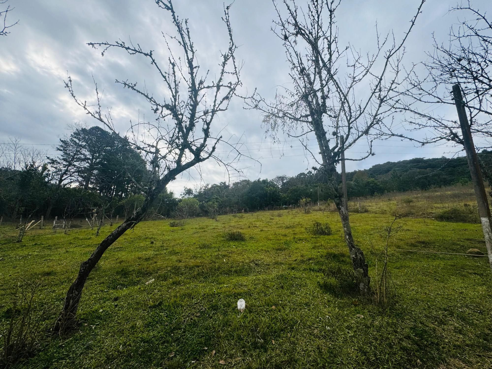 Chácara à venda com 2 quartos, 1m² - Foto 24
