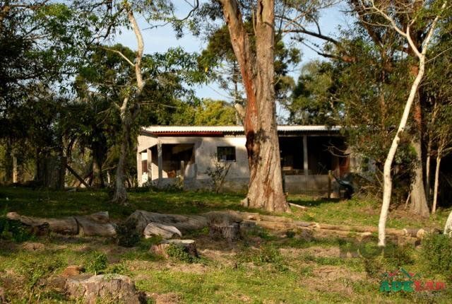 Sítio à venda com 1 quarto, 390000m² - Foto 6