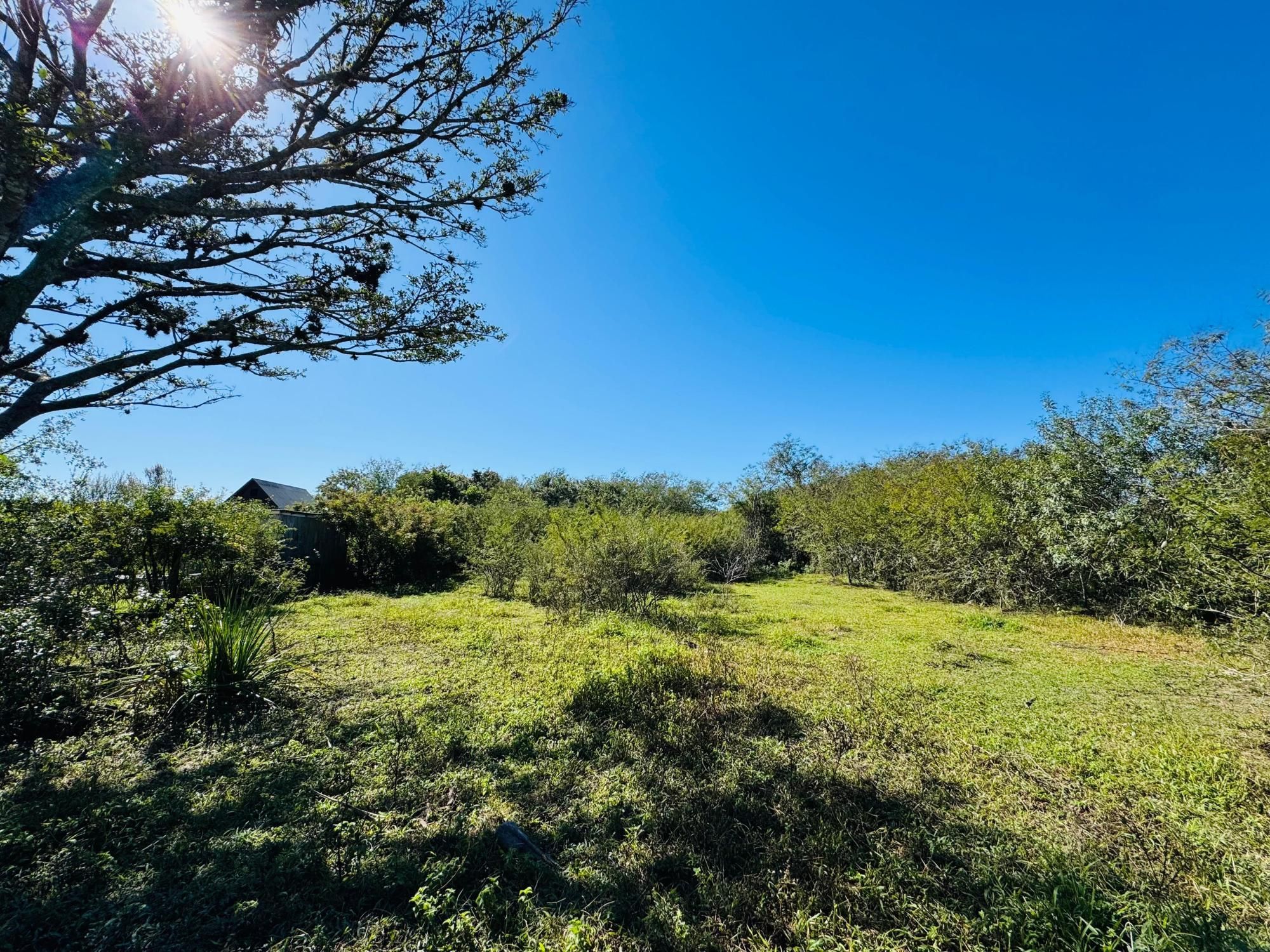 Terreno, 1000 m² - Foto 3