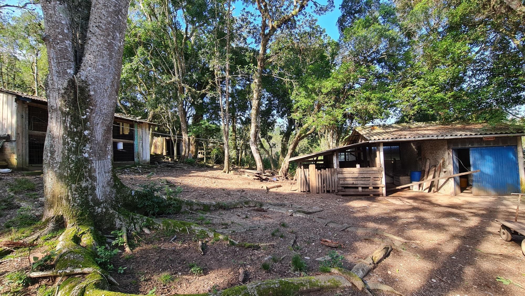 Chácara à venda com 2 quartos, 1m² - Foto 4