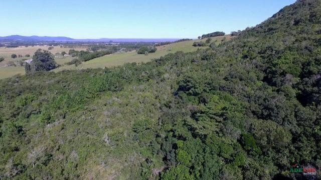 Sítio à venda com 1 quarto, 261500m² - Foto 15