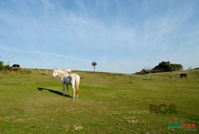 Sítio à venda com 1 quarto, 390000m² - Foto 32