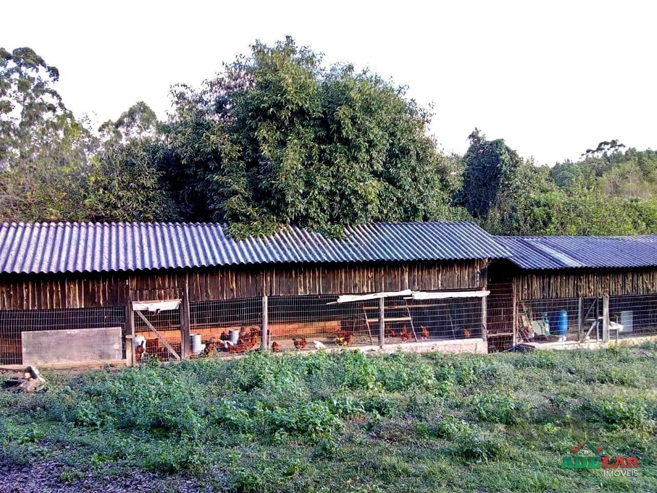 Sítio à venda com 2 quartos, 29999m² - Foto 80