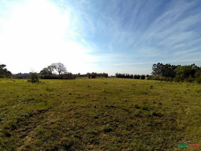Sítio à venda com 1 quarto, 390000m² - Foto 43
