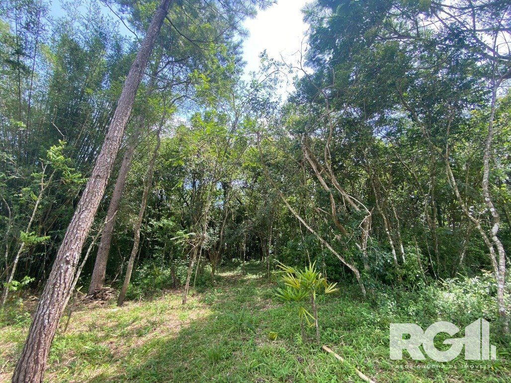 Sítio à venda com 2 quartos, 140m² - Foto 9