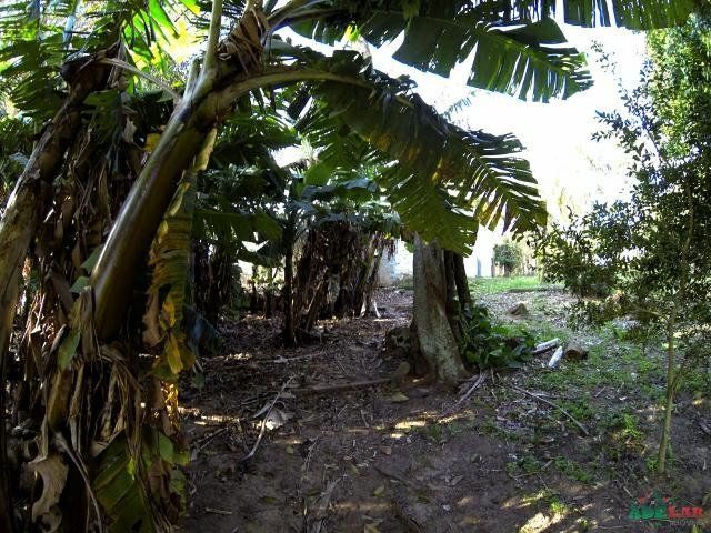 Sítio à venda com 1 quarto, 390000m² - Foto 71