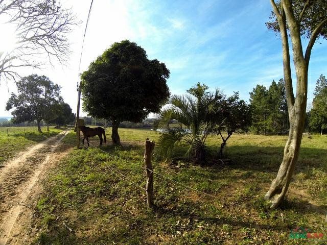 Sítio à venda com 1 quarto, 390000m² - Foto 61