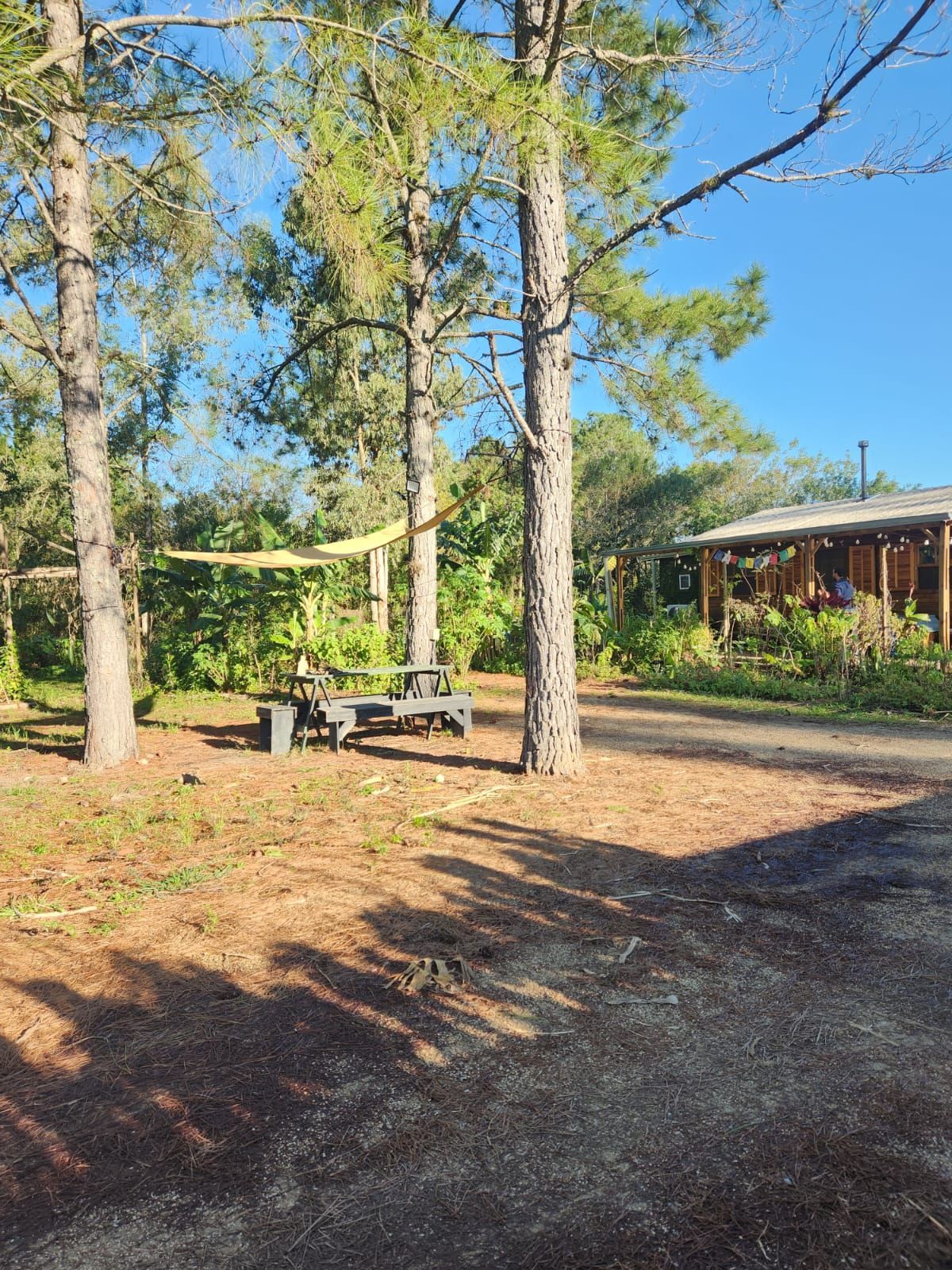 Sítio à venda com 2 quartos, 54m² - Foto 26