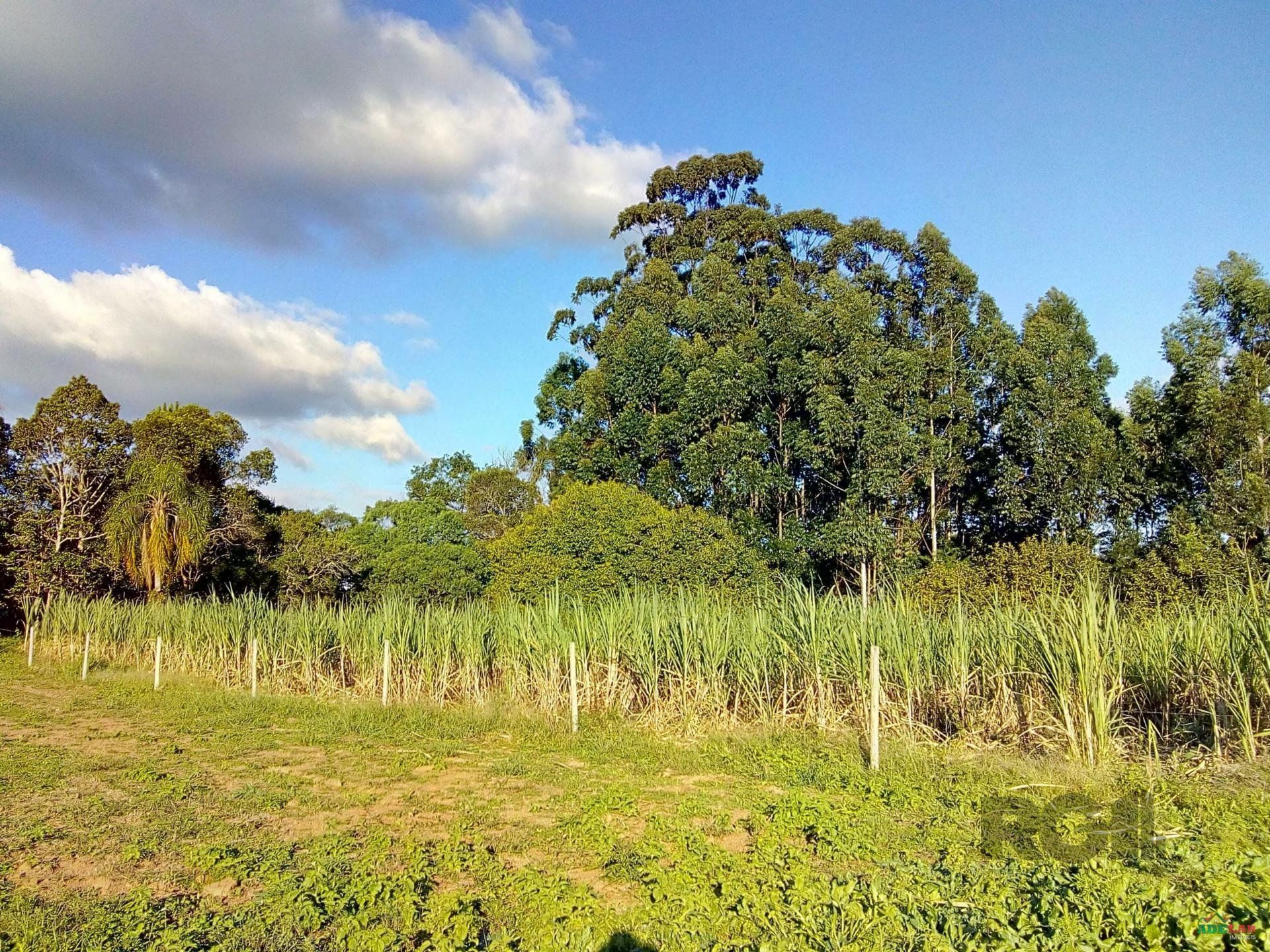 Sítio à venda com 2 quartos, 30000m² - Foto 116