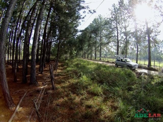 Terreno à venda, 3060m² - Foto 9