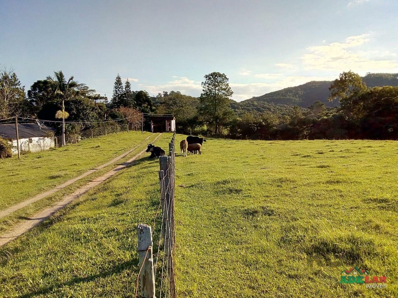 Sítio à venda com 2 quartos, 30000m² - Foto 66