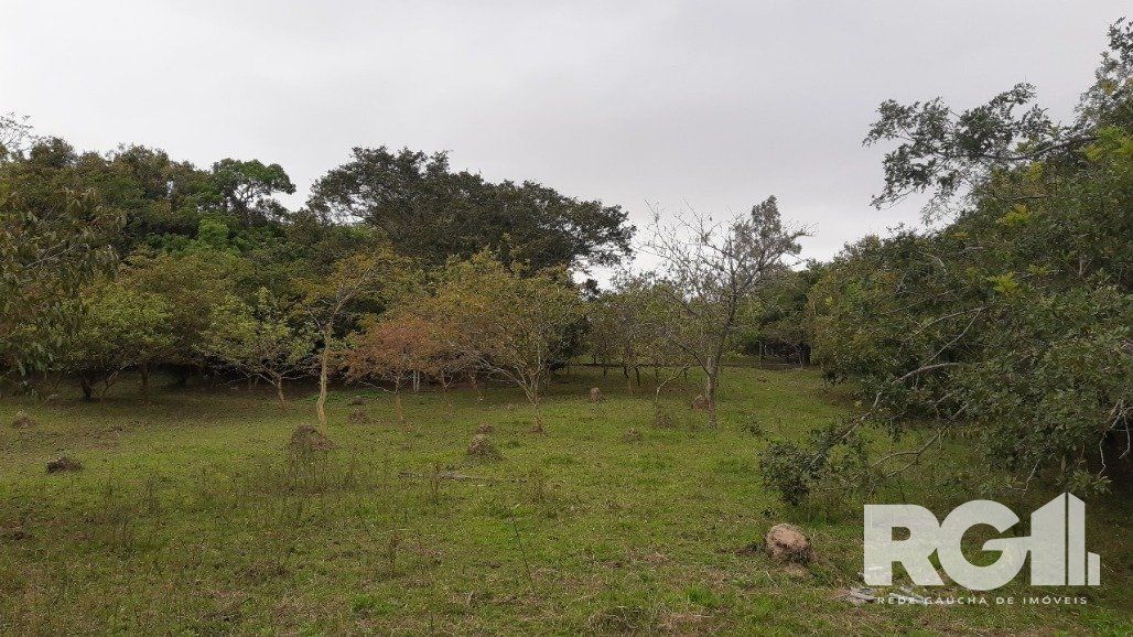 Sítio à venda com 2 quartos, 6611m² - Foto 13
