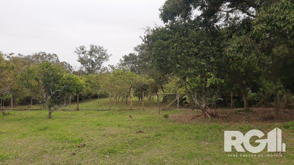 Sítio à venda com 2 quartos, 6611m² - Foto 20