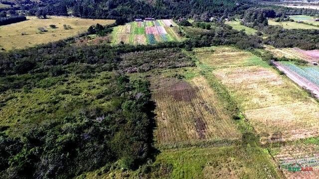 Sítio à venda com 1 quarto, 261500m² - Foto 5