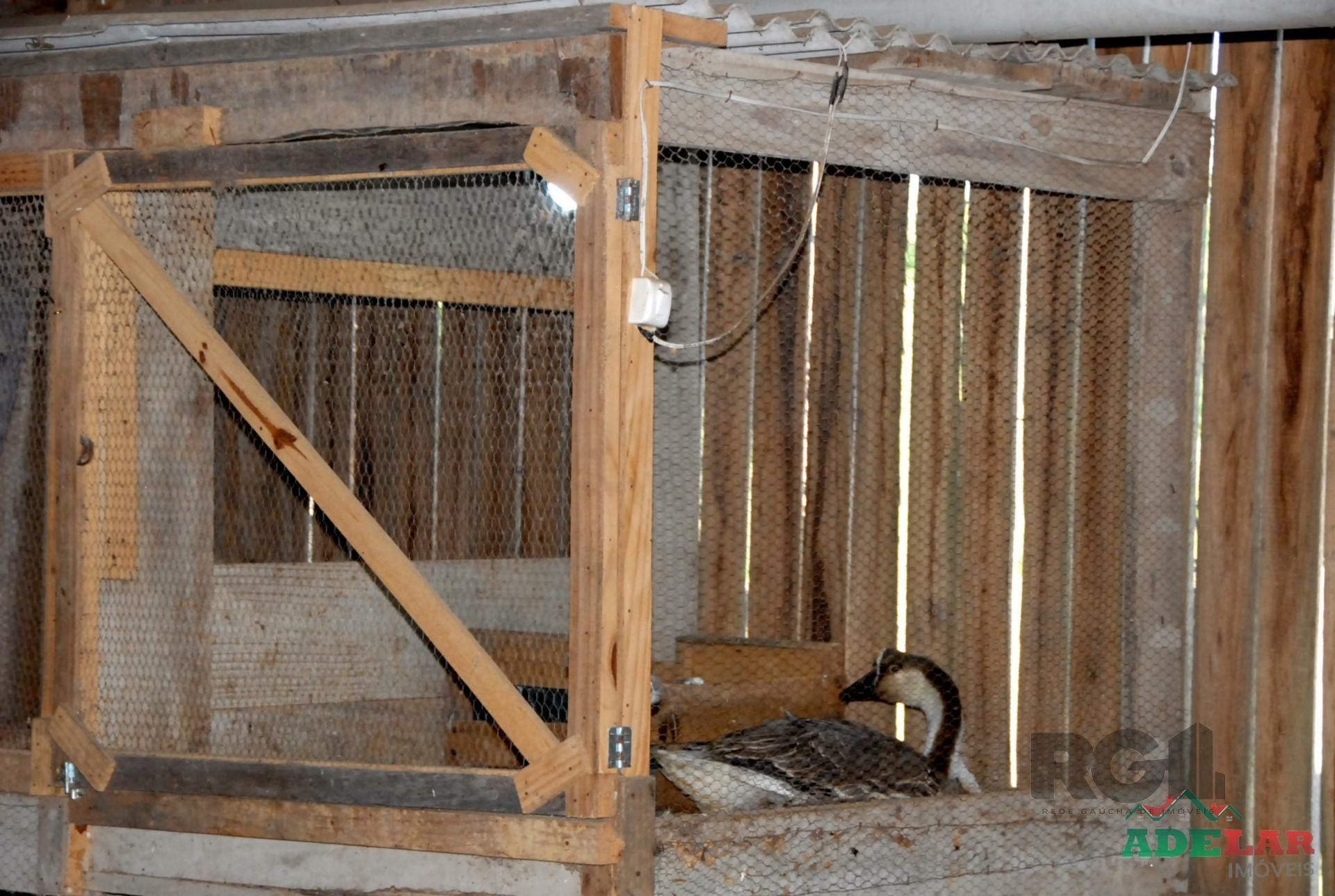 Chácara, 2 quartos, 2 hectares - Foto 27