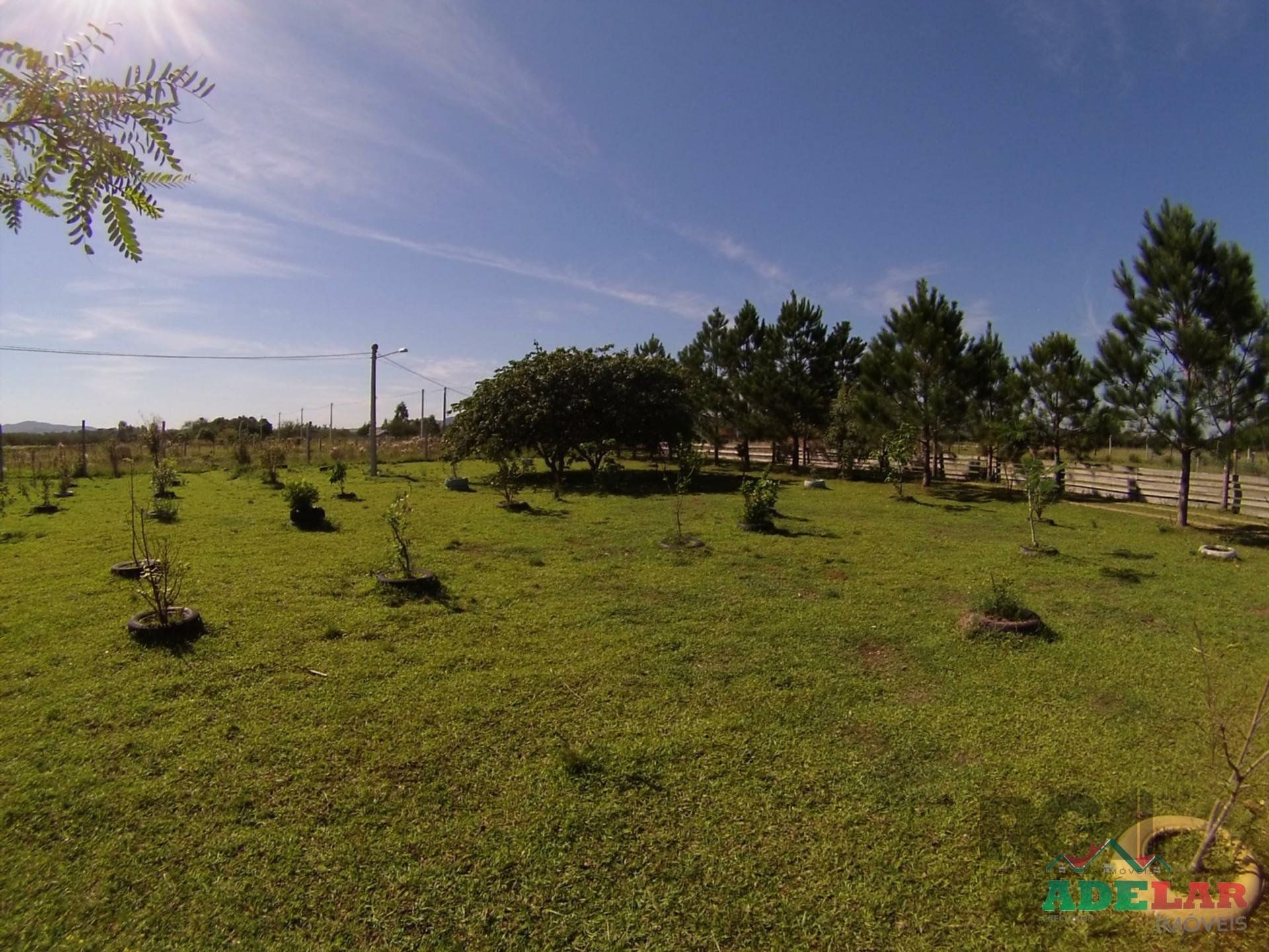 Chácara, 2 quartos, 2 hectares - Foto 65