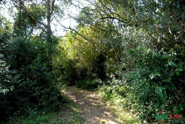 Sítio à venda com 1 quarto, 390000m² - Foto 57