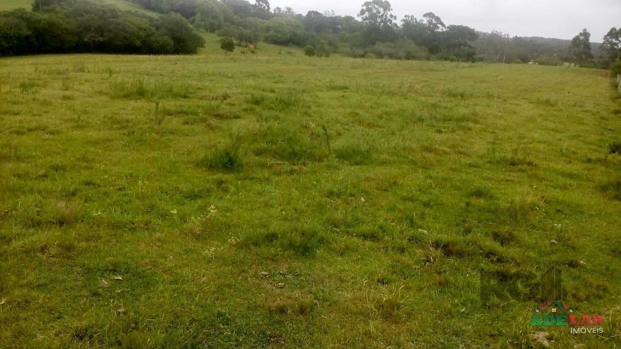 Sítio, 2 quartos, 10 hectares - Foto 42