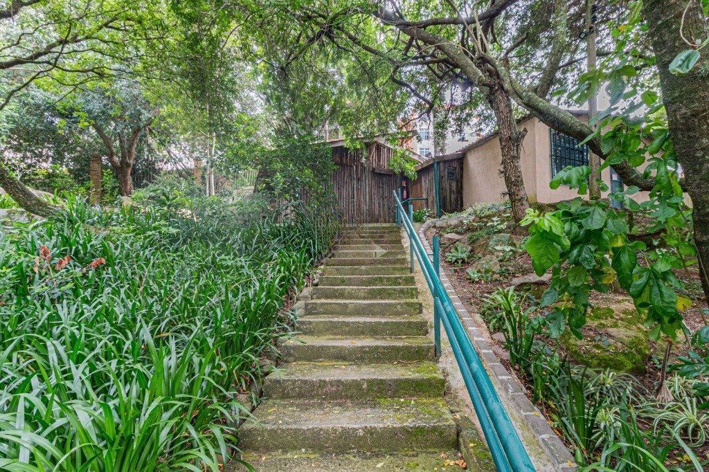 Casa, 4 quartos, 350 m² - Foto 81