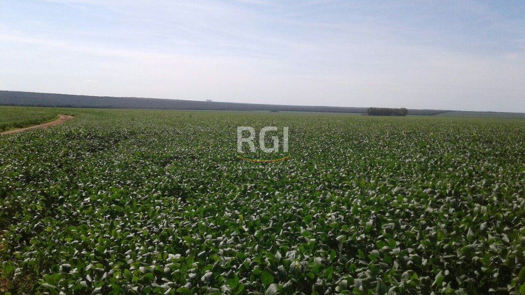 Terreno, 1050 hectares - Foto 19