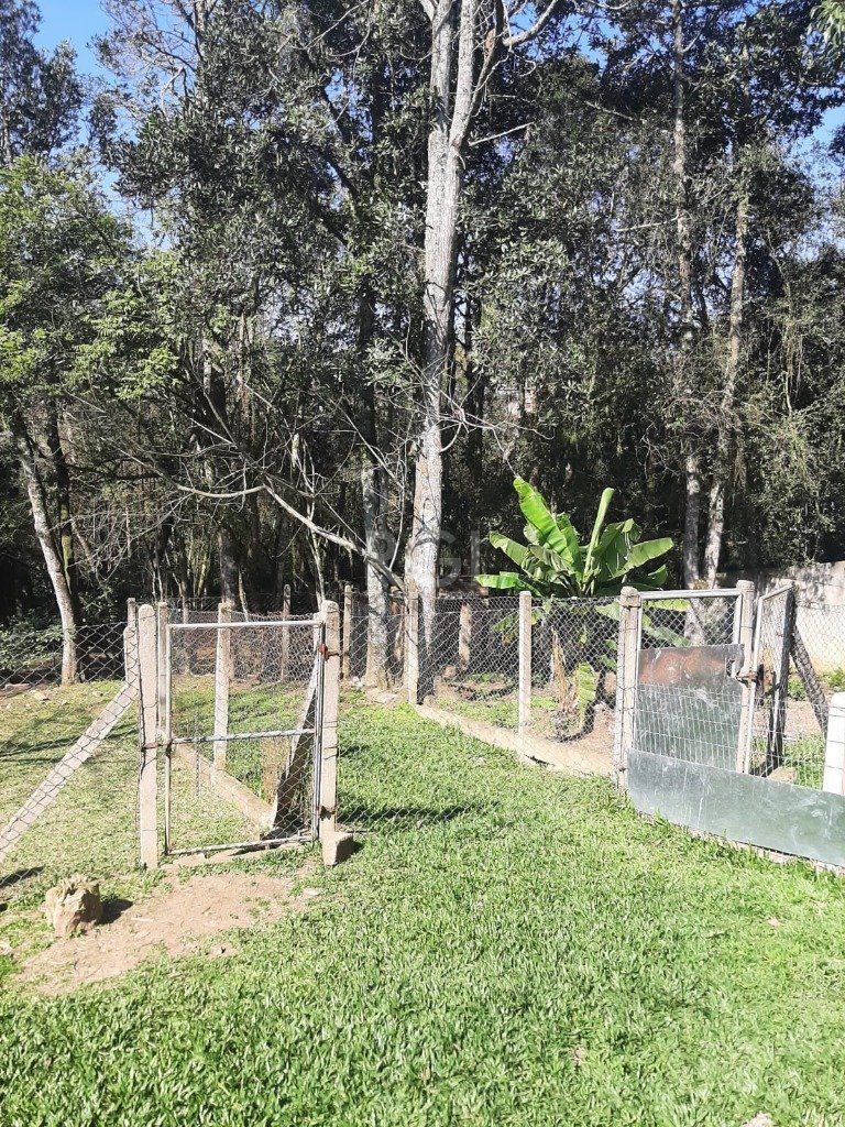 Terreno, 4526 m² - Foto 6