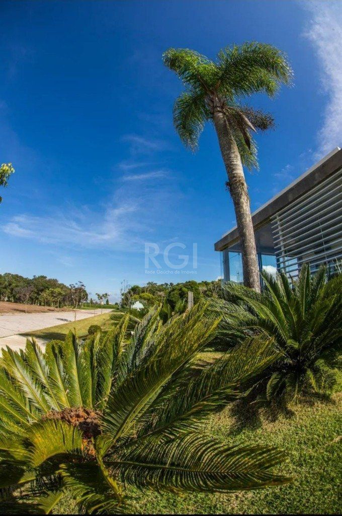 Terreno, 345 m² - Foto 5