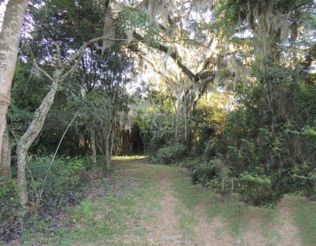 Chácara, 2 quartos, 2000 m² - Foto 10