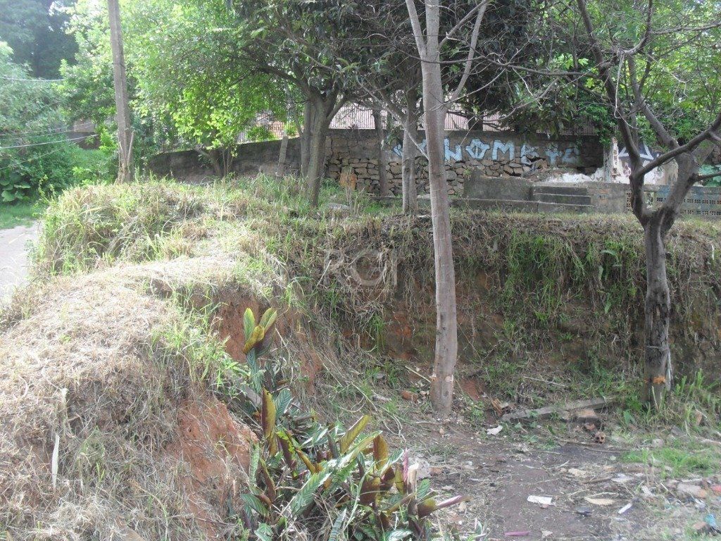 Terreno à venda, 297m² - Foto 9