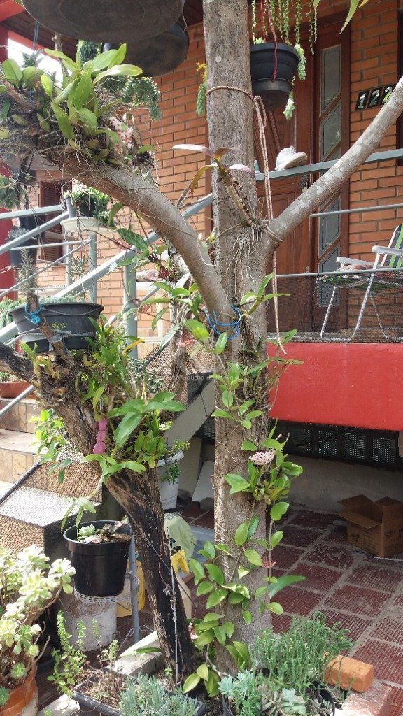 Casa, 3 quartos, 228 m² - Foto 14