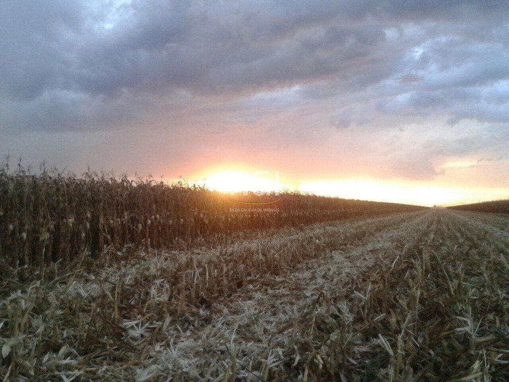 Terreno, 1050 hectares - Foto 15