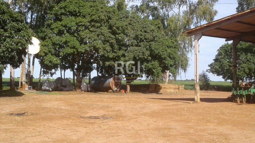 Terreno, 1050 hectares - Foto 4