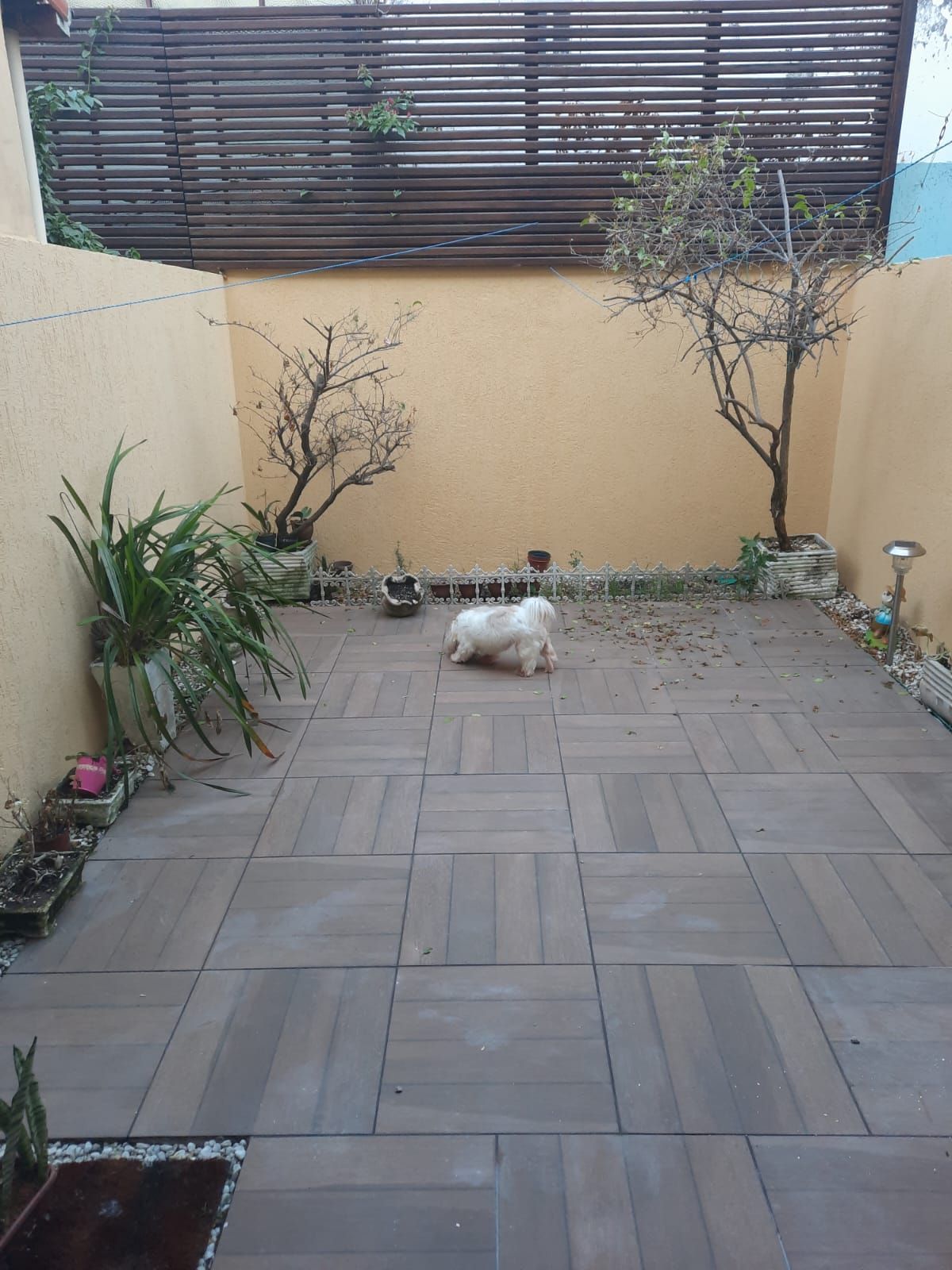 Casa de Condomínio, 2 quartos - Foto 12