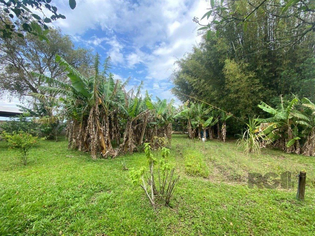 Sítio à venda com 3 quartos, 300m² - Foto 18