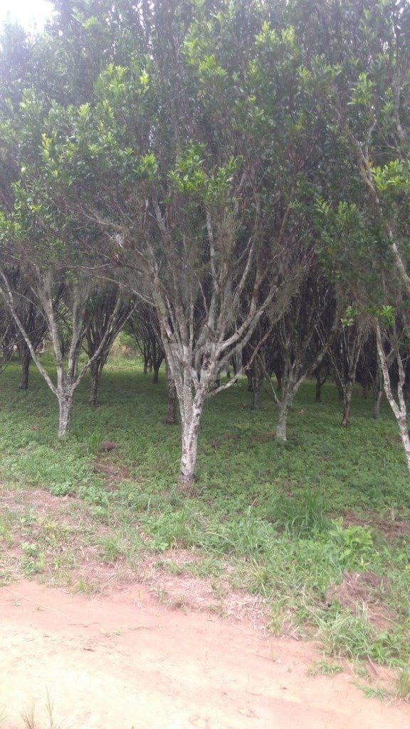 Casa, 3 quartos, 108 m² - Foto 10