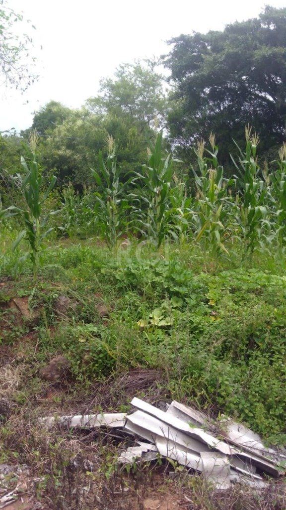 Casa, 3 quartos, 108 m² - Foto 3