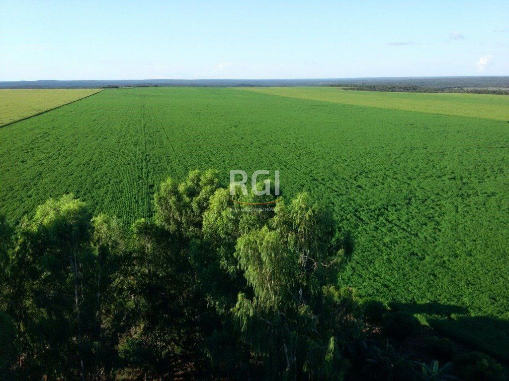 Terreno, 1050 hectares - Foto 1