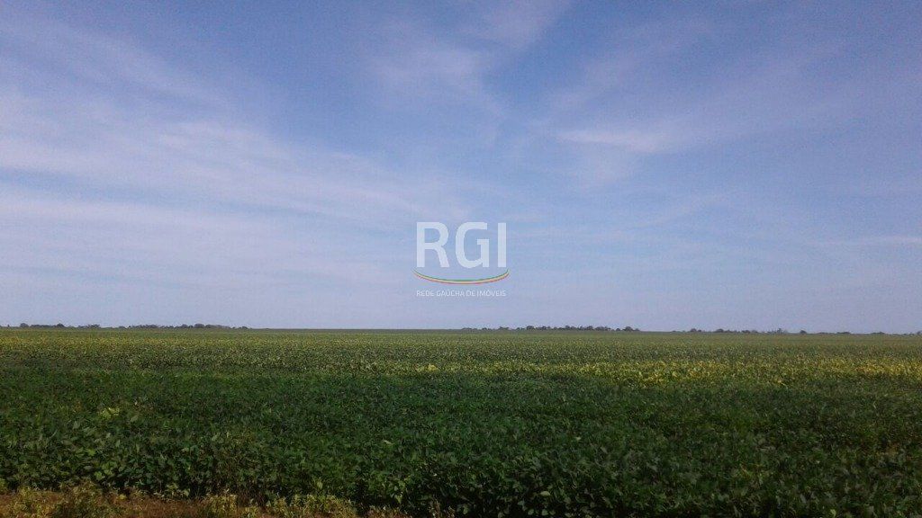 Terreno, 1050 hectares - Foto 6