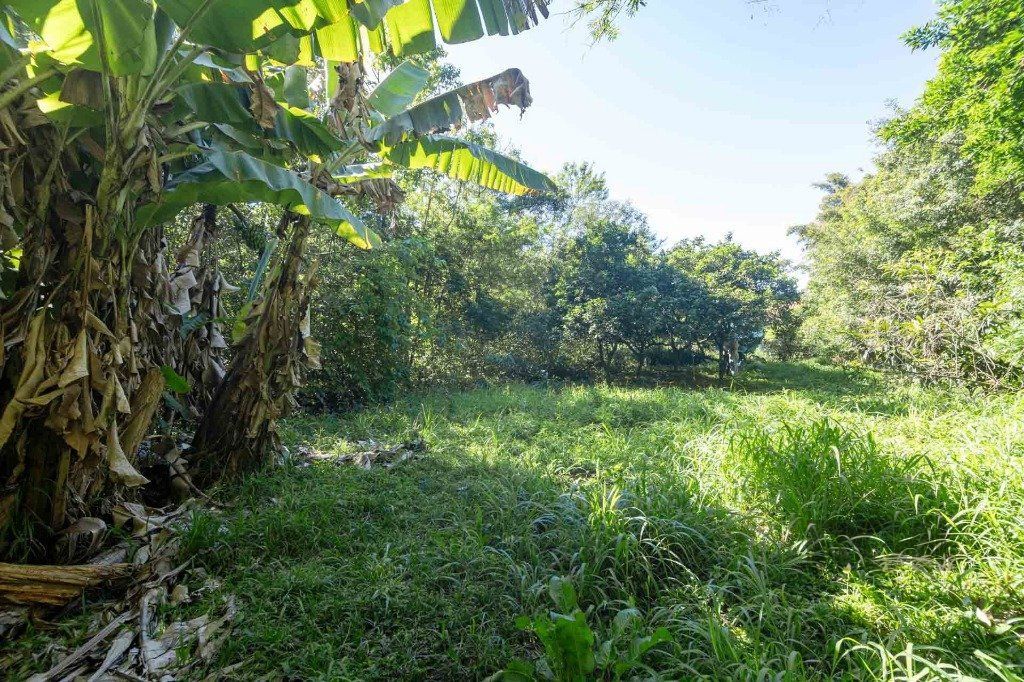 Casa, 6 quartos, 393 m² - Foto 10