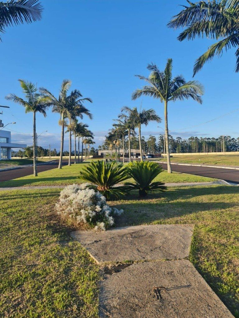 Terreno, 605 m² - Foto 2