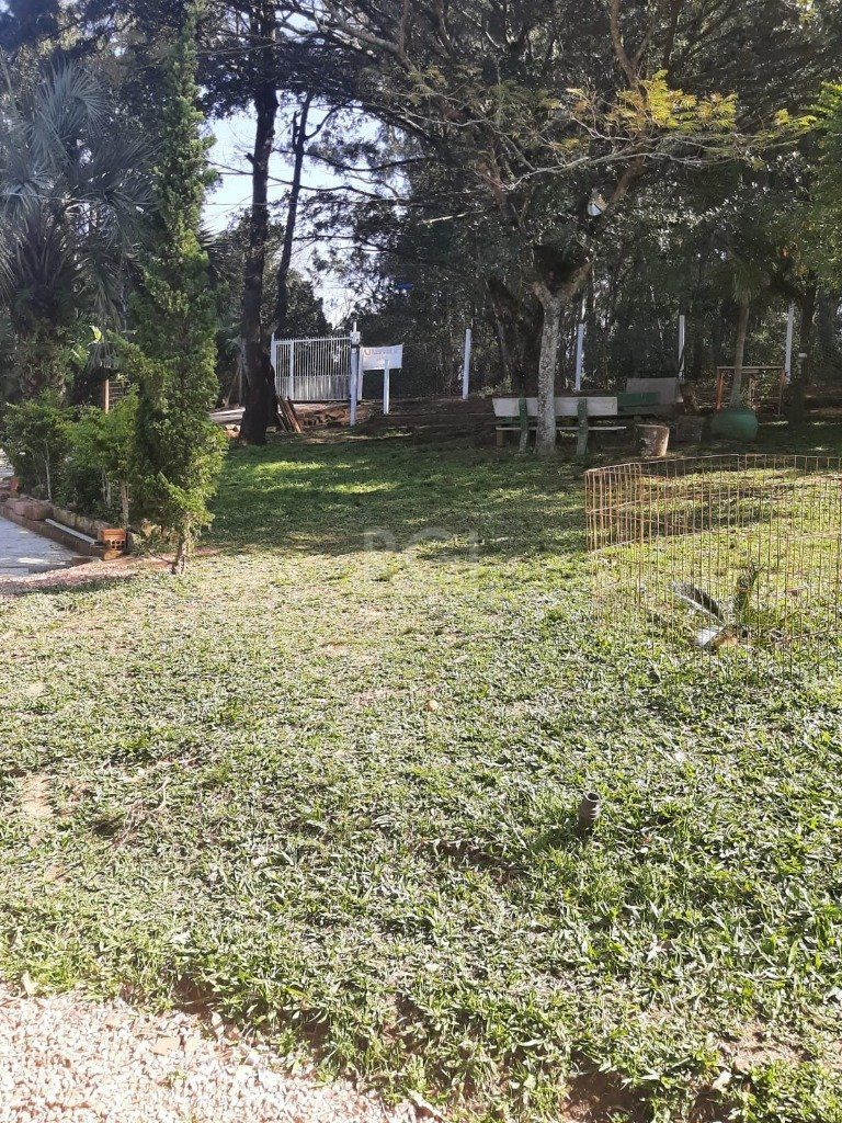 Terreno, 4526 m² - Foto 14