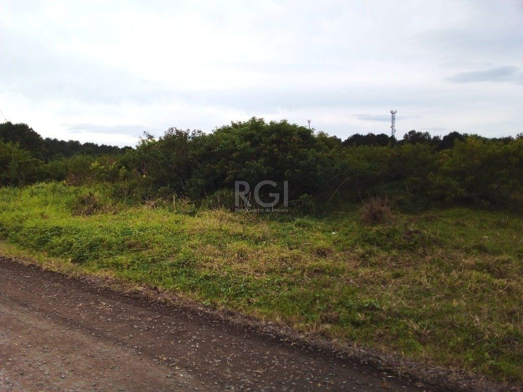 Terreno, 1 hectares - Foto 5