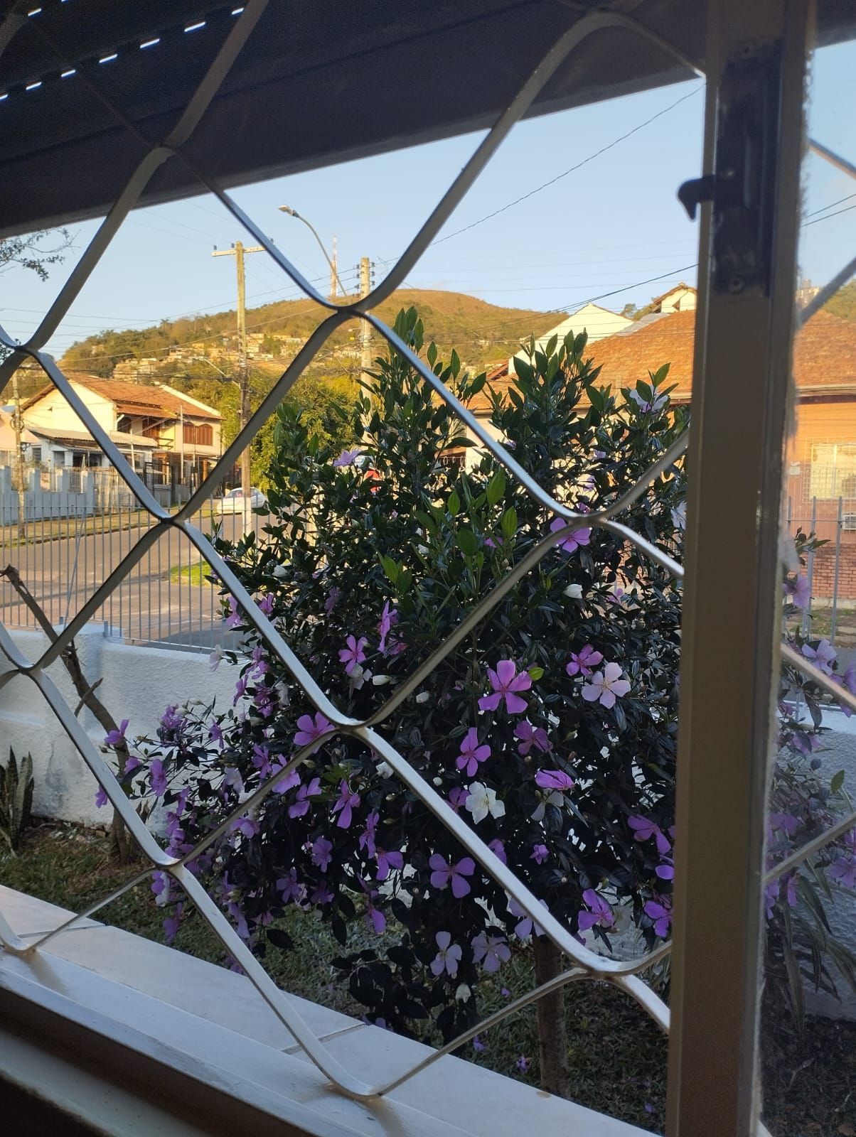 Casa à venda com 2 quartos, 182m² - Foto 5