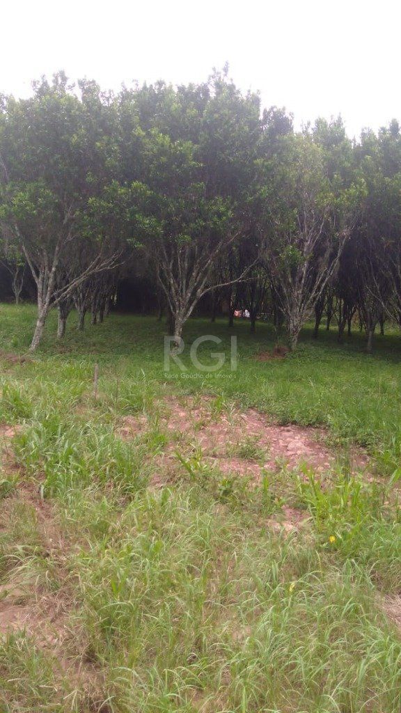 Casa, 3 quartos, 108 m² - Foto 11