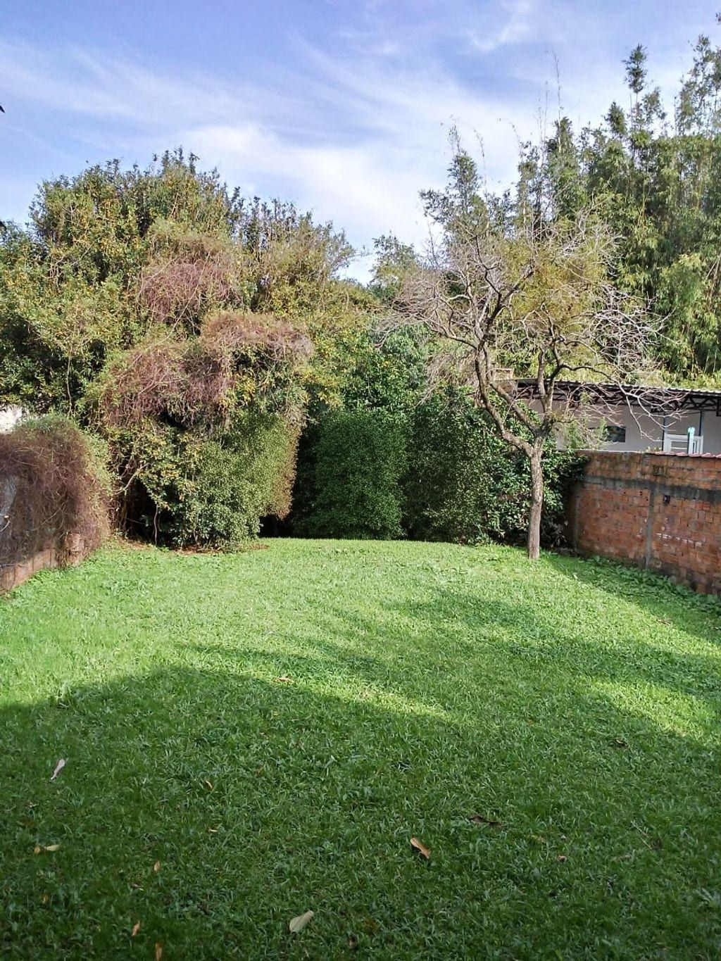 Casa, 4 quartos, 88 m² - Foto 4