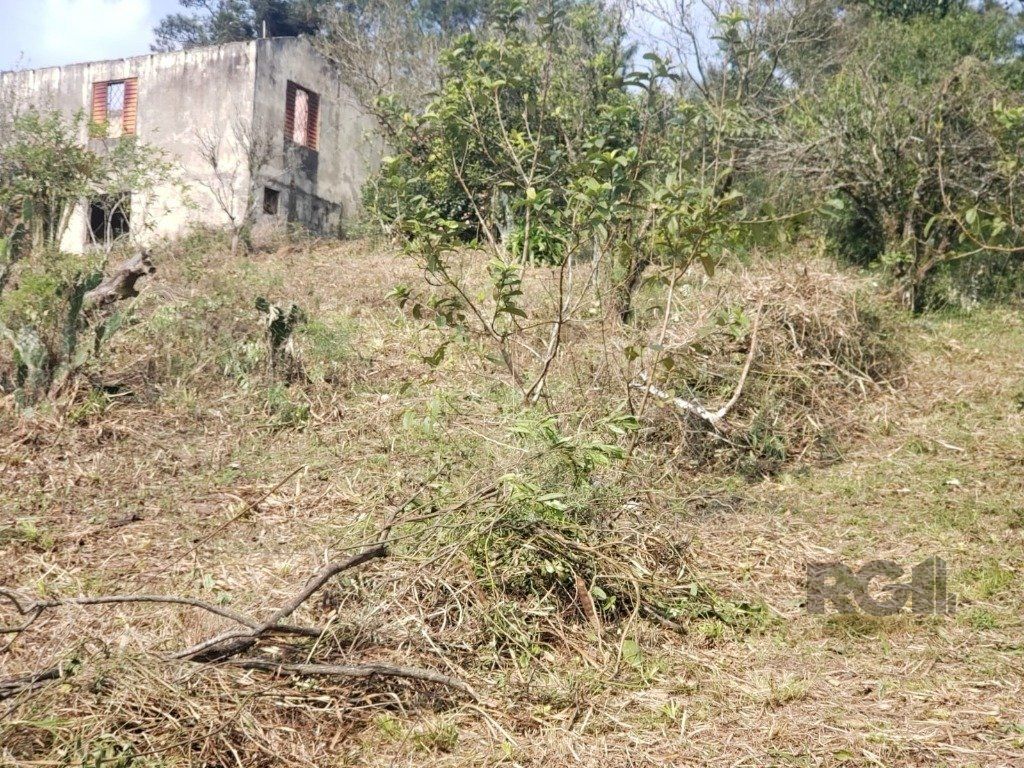 Terreno, 2003 m² - Foto 6