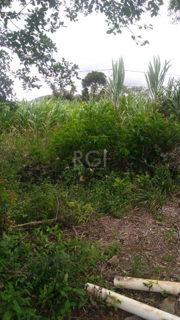 Casa, 3 quartos, 108 m² - Foto 4