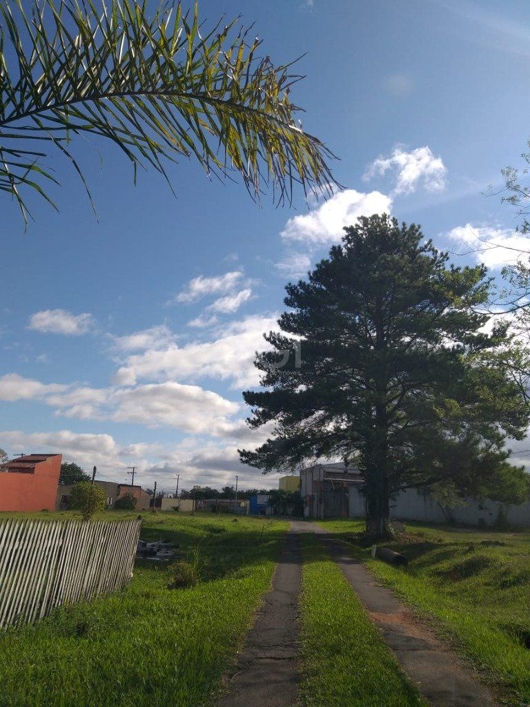 Terreno, 2 hectares - Foto 6