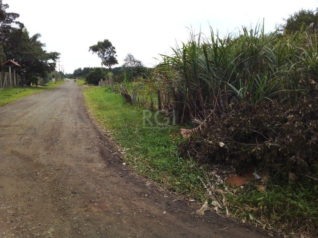 Terreno, 1 hectares - Foto 16