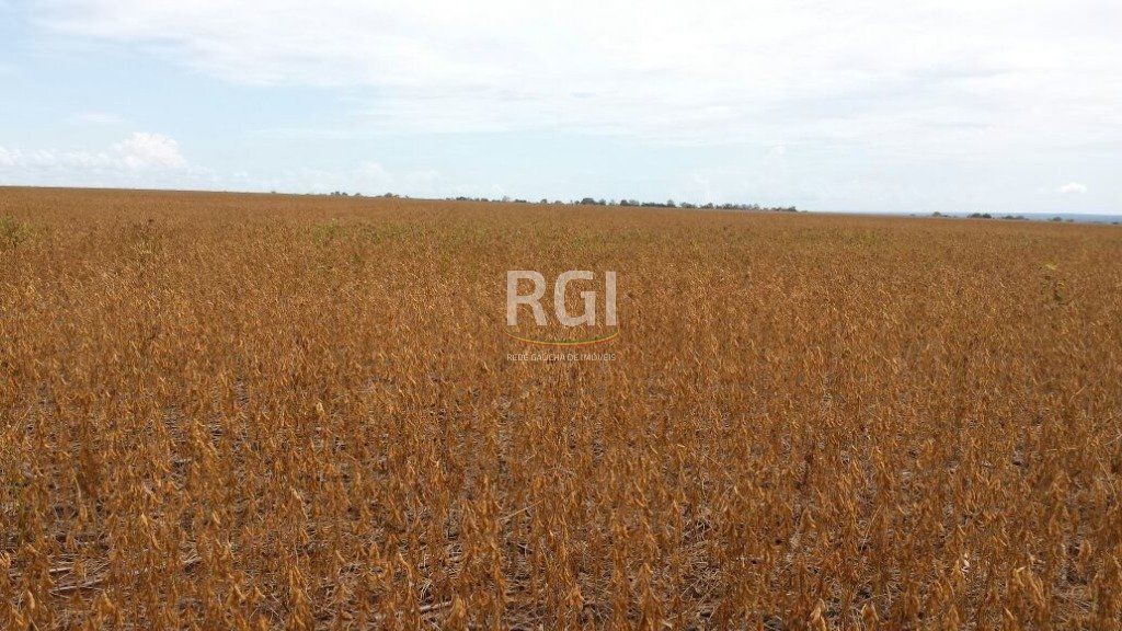 Terreno, 1050 hectares - Foto 11